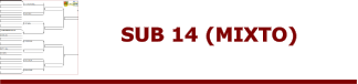 SUB 14 (MIXTO)